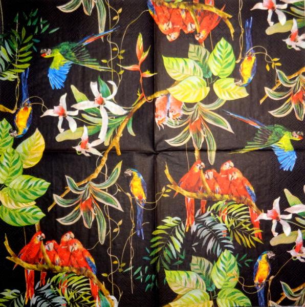 034 Parrot - 3-ply - Ihr